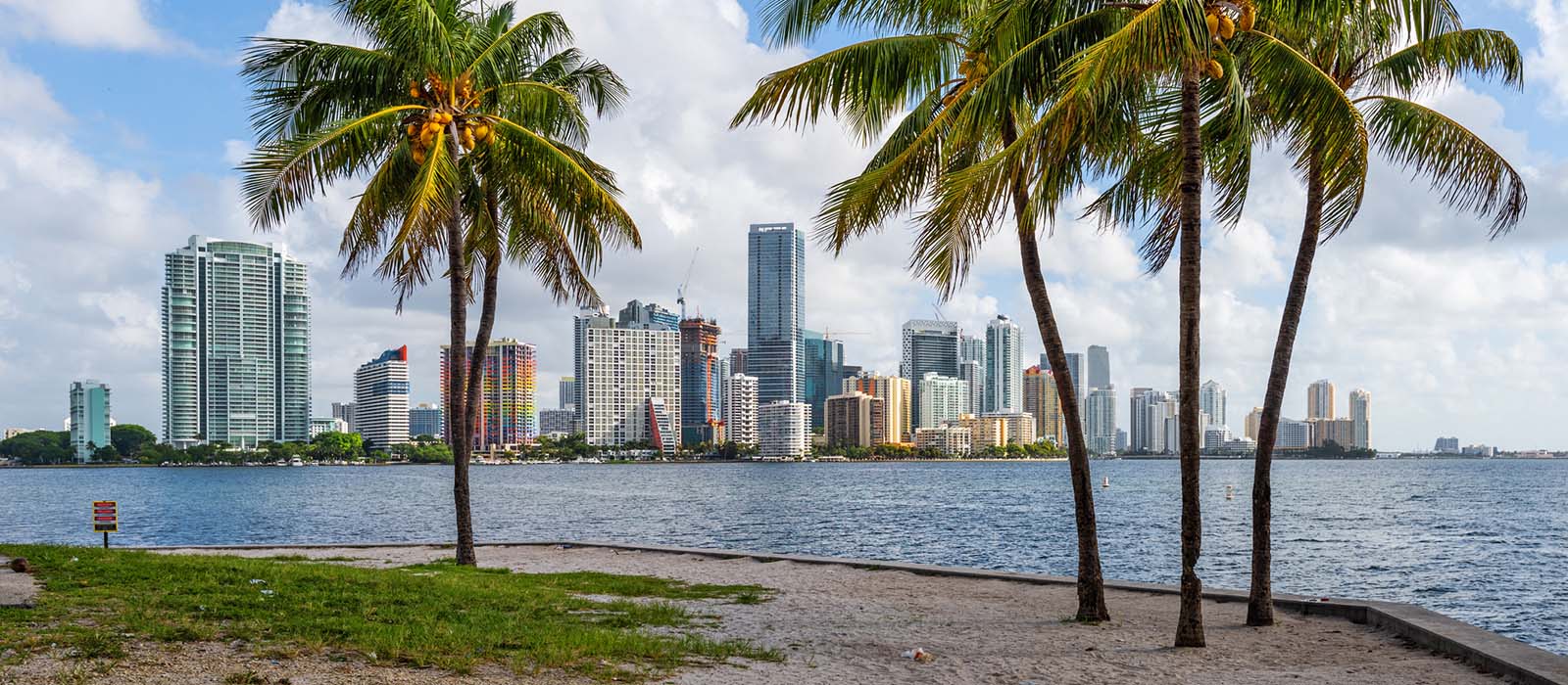 Miami, Florida tropical downtown skyline, St. Petersburg, Care Management Service Area