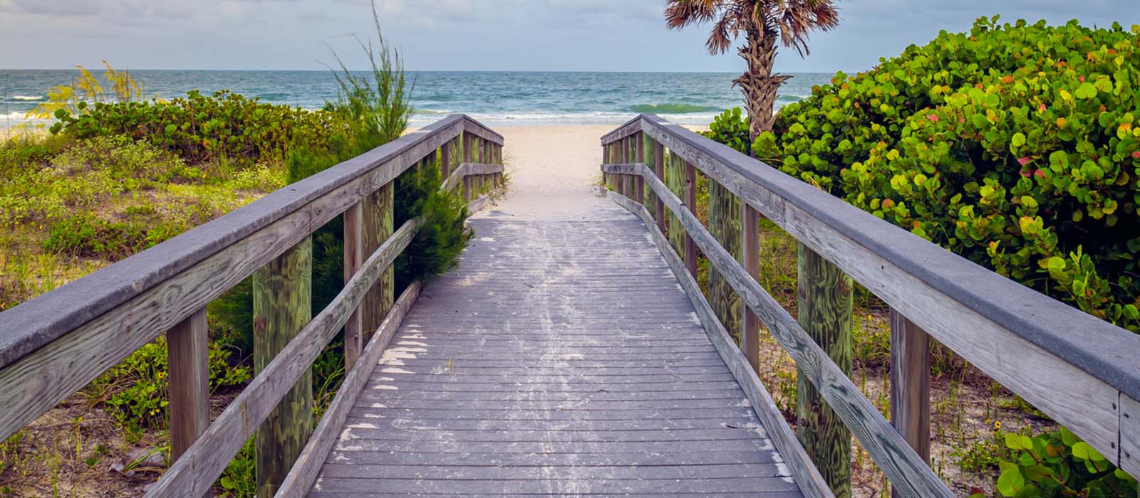 Beach during overcast, St. Petersburg, Care Management Service Area